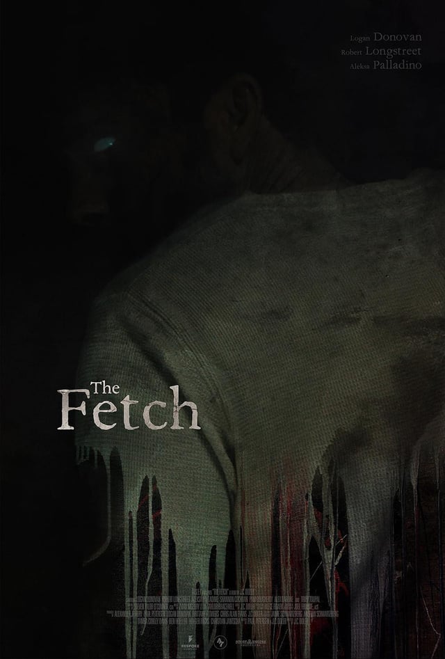 The Fetch Poster
